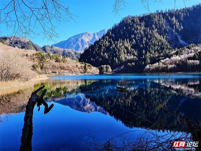 九寨沟的冬日浪漫：雪吻海子，阳光作画，太治愈了