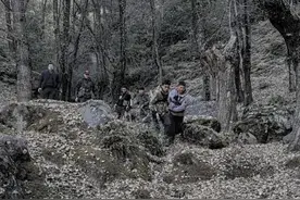 揭秘“野猪猎捕队”丨海拔3000米高山密林，记者跟队直击猎捕野猪全过程图片