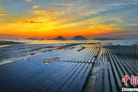 截至1月底，浙江新能源装机超4000万千瓦图片