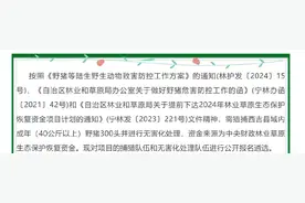 宁夏一地有偿招募“野猪猎人”，官方回应图片