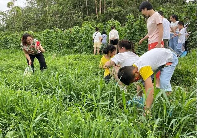 初秋country walk，是时候到仁寿村游啦
