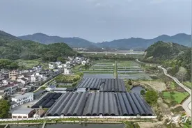 深山养出海鲜！不信你来湖口这个小山村看看……图片