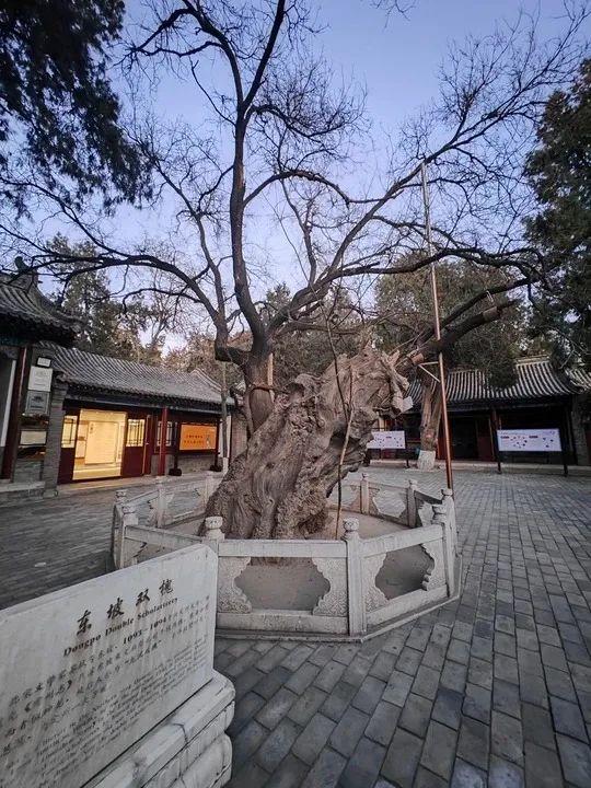 河北这座宝藏小城，不仅有9处国保，还有一座“县级博物馆天花板”！