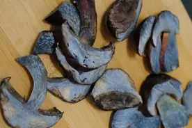 吃完见小人的菌子爆红，你敢跟风吗？