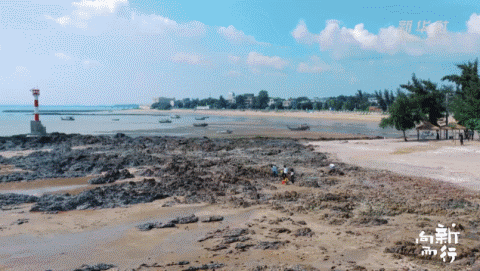 新华社携手董宇辉，走进广西的蔚蓝海岸……