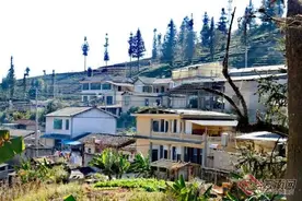 云南昭通移民至普洱的这个新村，以一片绿叶走上富路图片