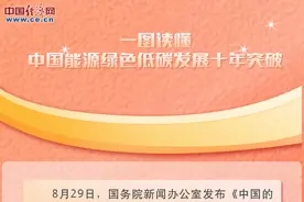 一图读懂|中国能源绿色低碳发展十年突破图片