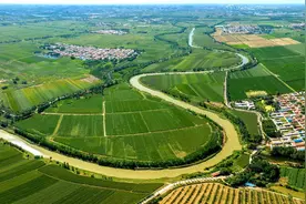 周末畅游德州，遇见“两河牵手”！游原真运河、览黄河风光、溯两河美景、淘古玩之旅图片