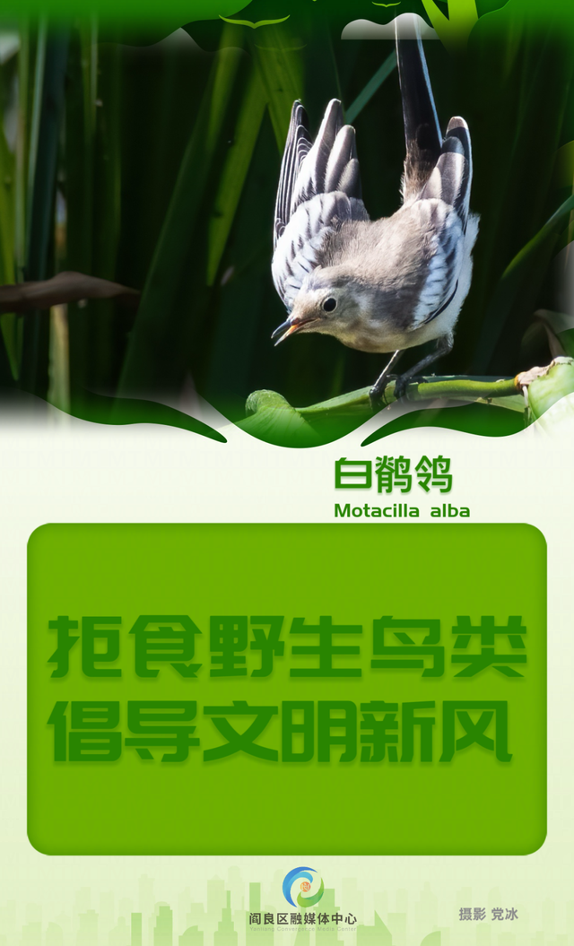 2025西安航空航天体验消费嘉年华7月18日盛大来袭！