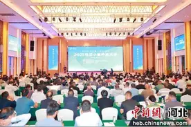 2025马兰小麦种业大会在河北辛集举行图片