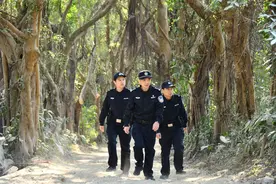 跋涉在山林之间，深圳“藏蓝身影”守护野生动植物图片