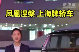 秀我中国｜凤凰涅槃——上海牌轿车图片