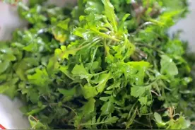 半岛叨叨｜钙含量不逊于牛奶！荠菜为什么这么好吃？怎么吃才健康？图片