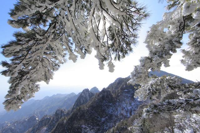 冬季限定｜尧山风景区门票半价啦！