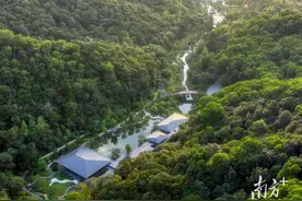 广东首批区域植物园和乡土植物园名单公布，有你的“梦中情园”吗？图片