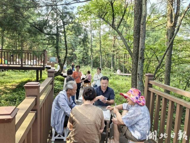 巴东：绿葱坡头风送爽 灯盏窝畔清凉长