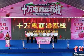 “十万电商卖荔枝”  广东茂名2024年荔枝营销大比拼启幕图片