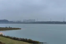 茂名改造“城市伤疤”，旧时露天矿坑今变千公顷生态公园图片