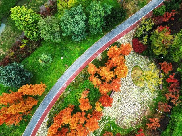 图库推荐丨黔西:草木染初冬,湖畔绘锦卷