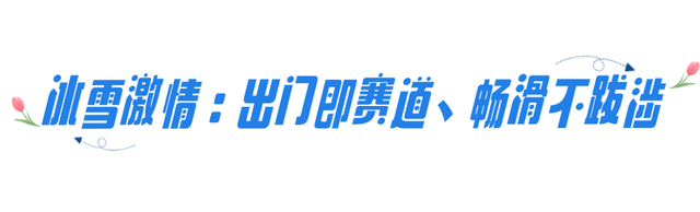 倒计时！2025呼和浩特冬季文旅推介会即将启幕，“暖冬密码”抢先解锁！