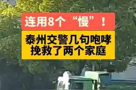 交警连吼8声“慢”截停大货车避免悲剧，回应：条件反射，不能看着事故发生图片