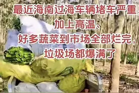 海南农产品滞销调查：出岛运输车辆积压滞留，万斤辣椒烂地里，冷库爆仓运费高企图片