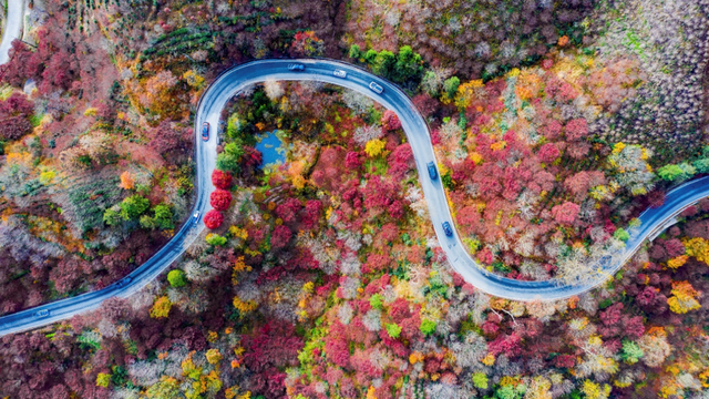 一秒云游浙里好山，诗画浙江又有新玩法