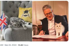 英国首相收养西伯利亚猫被前情报官批“支持俄罗斯”，网友吐槽：荒谬图片
