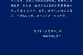 苏州警方通报“男子持刀伤人”案件，事发时附近卤菜店店长用铁勺将其击退图片