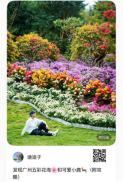 藏不住了！广州花都浪漫花海，被小红书达人发现了~