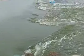 广东多地出现海水倒灌，养殖户：20多年第一次见，百亩鱼虾都跑了图片