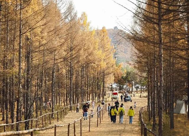 看，延吉秋景深藏诗意！