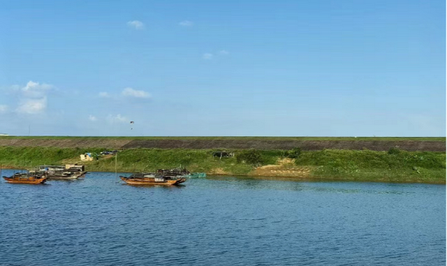 周末 ，宜回归自然！三水露营宝地推荐来了！