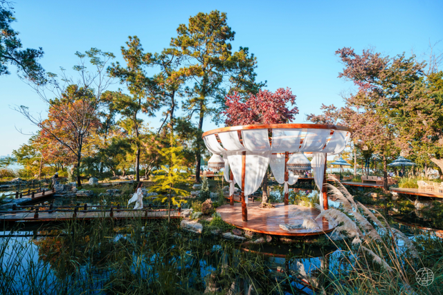 降温了，躲进东湖暖咖，独享封神秋景！