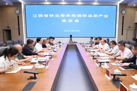 江西省林业局来湘考察调研油茶产业图片