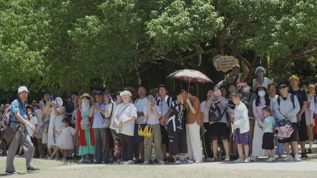 万人同游 乐享仙山 | 龙虎山景区迎万人系列团，人气火爆！