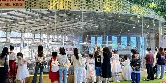 国庆 “人从众” 预警！建宁旅游持续升温，热度爆棚超吸客