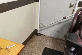 剧毒！杭州女子在家听到“敲门声”，开门后瞬间崩溃……图片