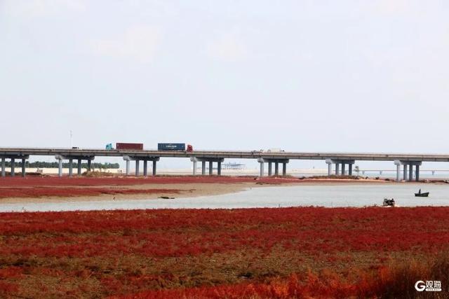 红了红了！青岛这片海滩刷屏，现场超壮观，不少人已赶去打卡，错过要再等一年……