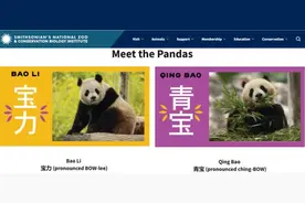 “顶流网红”来了！中国大熊猫萌翻美国华盛顿图片