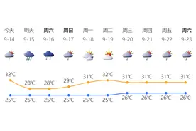 深新早点｜定了！深圳这8天暂停限外！图片