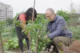 外国人在金山种菜是一种怎样的体验图片