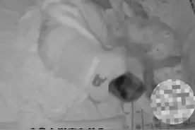 可怕！育儿嫂凌晨突然起身压住百天婴儿，监控视频曝光…图片