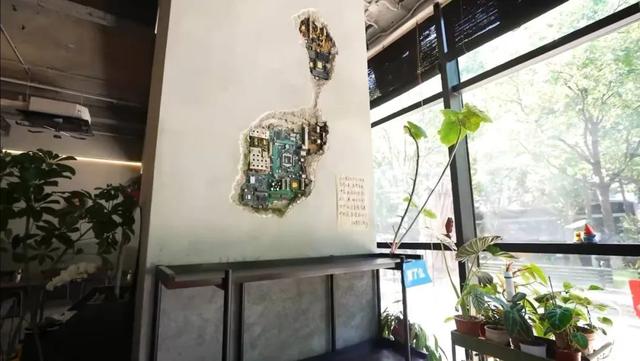 这场“生境walk”直播，带你发现不一样的愚园路→