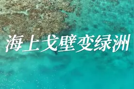 从“海上戈壁”到“南海绿洲”——子弟兵助力南海岛礁绿色生态可持续建设纪实图片