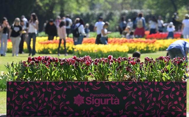 意大利：春天的花海