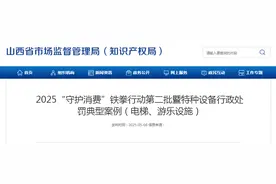 【山西】2025“守护消费”铁拳行动第二批暨特种设备行政处罚典型案例（电梯、游乐设施）图片