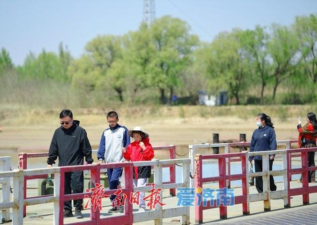 假日拥抱“母亲河”，济南泺口浮桥变身“观景台”