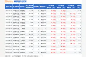 西南证券：给予国电电力买入评级，目标价位6.25元图片