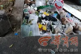 小8跑街|含光路南段这处花坛边垃圾堆积 不知道归谁管？市民盼尽快清理图片